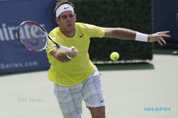 ATP Washington: Del Potro Pijak Perempat Final