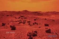 Berkat Mikroba, Peneliti Simpulkan Tanda-Tanda Kehidupan di Mars