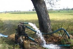  BAHAN BAKAR POMPA AIR : Tekan Biaya Produksi, Petani Disarankan Gunakan Elpiji
