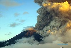 Lava Gunung Api Cumbre Vieja Hanguskan 800 Hektare Lahan di Spanyol