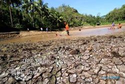 KEKERINGAN JATENG : Klaten, Wonogiri, Boyolali dan 10 Daerah Alami Kekeringan