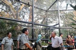 LEBARAN 2013 : Taman Burung GLZoo Siap Sambut Wisatawan