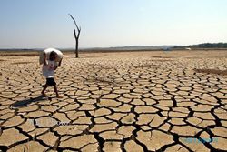 BENCANA KEKERINGAN : Pengaruh El Nino, Indonesia Terancam Kekeringan