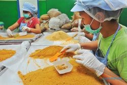 UMKM KULONPROGO : Produksi Gula Semut Terbatas, Permintaan Tinggi