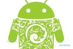 KLINIK ANDROID : Sudah Custom Rom ke Jelly Bean, Mengapa Instal Aplikasi BBM Android Gagal?