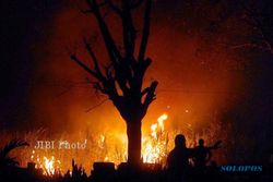 BENCANA KEKERINGAN : PMK Waspadai Kebakaran di Lahan Tebu