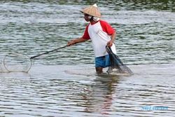 KERUSAKAN LINGKUNGAN : Tambak Udang di Trisik Tabrak Aturan