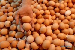 Harga Telur di Sleman Bertahan Tinggi, Rp17.500 Per Kilogram