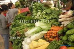 Harga Sayuran di Kulonprogo naik