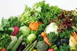 TIPS DIET SEHAT : Buah dan Sayur Bukan Jurus Menurunkan Berat Badan