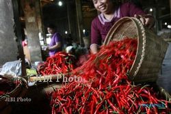 HARGA KOMODITAS : Harga Cabai Rawit Merah Turun Tajam