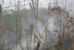  KEBAKARAN HUTAN : Musim Kemarau, BKPH Tangen Waspadai Kebakaran Hutan