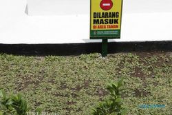 Alasan 169 Taman di Surabaya Tak Pernah Sepi, Dilengkapi Fasilitas Bermain Anak