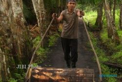 LISTRIK ALTERNATIF : PLN Bangun Pembangkit Listrik Kulit Pohon Sagu