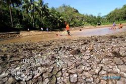 MUSIBAH KEKERINGAN : El Nino Diprediksi Perparah Kekeringan di 33 Desa
