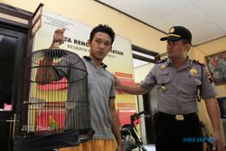 PENCURIAN SOLO : Buron Sebulan, Pencuri Burung Ditangkap Polisi