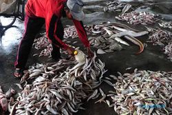 PASAR TRADISIONAL SEMARANG : Pedagang Ikan Rejomulyo Diultimatum Pindah Maret 2017