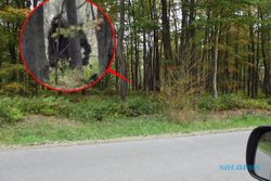 Penebang Kayu Rekam Bigfoot di Hutan Pennsylvania