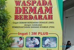  DEMAM BERDARAH : Jumlah Kasus DBD Melonjak Tajam  