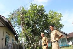 ANGIN KENCANG KLATEN : Tower Roboh, Layanan E-KTP 6 Kecamatan Lumpuh