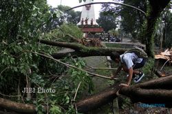 Mahasiswa Kediri Tewas Tertimpa Pohon Tumbang