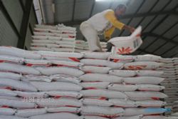 Cegah Beras dan Daging Impor ke Jakarta, Jokowi "Impor" dari Sulsel
