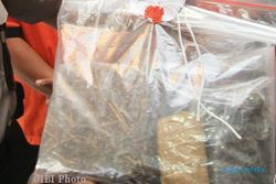 Seorang Pemuda Bawa Satu Kilo Ganja, Ditangkap di Bogem