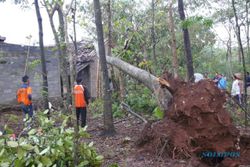 Puluhan Pohon dan Genting Rumah di Boyolali Rontok Diterjang Angin