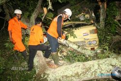 KECELAKAAN KARANGANYAR : Pohon Timpa Truk, Jalur Solo-Tawangmangu Lumpuh 5 Jam