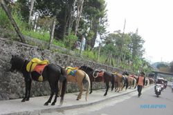  Wisatawan Serbu Objek Wisata Tawangmangu