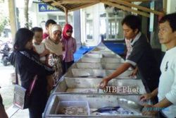 KULINER SOLO : Nikmati Seafood di Solo, Harga Tak Selalu Mahal