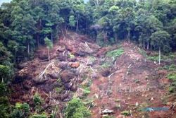 PELESTARIAN LINGKUNGAN : Aktivis Lingkungan Desak Jokowi Perkuat Moratorium Hutan