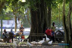 FOTO BALEKAMBANG  : Menikmati Liburan