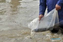 PELESTARIAN ALAM : Ribuan Ekor Ikan Ditebar di Telaga Menjer