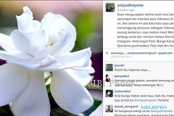 INSTAGRAM IBU ANI : Minta Maaf, Ibu Ani Yudhoyono Unggah Foto Bunga