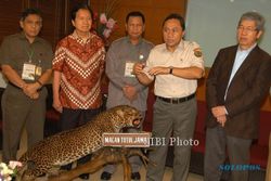 FOTO KONFERENSI MACAN TUTUL JAWA : Konferensi Nasional Macan Tutul Jawa