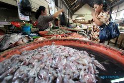 FOTO PEDAGANG IKAN : Harga Ikan Laut Naik