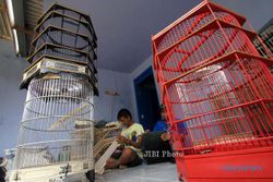 INFO BELANJA : Sangkar Burung Lebih Murah di Perajin, Mau?