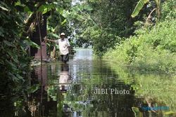 BANJIR KLATEN : Sungai Meluap, 25 Ha Sawah di Gantiwarno Terendam Banjir