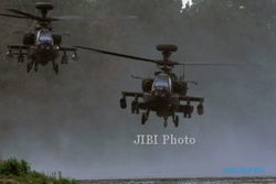 ALUTSISTA TNI : TNI AD Tunggu 8 Helikopter Tempur Apache