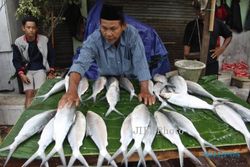 FOTO TAHUN BARU IMLEK : Harga Ikan Bandeng Naik