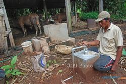 FOTO BIOGAS : Memanfaatkan Biogas dari Kotoran Ternak 