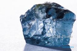 KISAH UNIK : Wow, Berlian Biru Rp240 M Ditemukan di Afrika