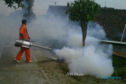PENYAKIT MENULAR : Chikungunya Mewabah, Fogging Merambah