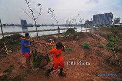 FOTO PENGHIJAUAN BANTARAN WADUK JAKARTA : Mengangkut Rumput