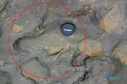 KISAH UNIK : Jejak Kaki Berumur 800.000 Tahun Ditemukan di Inggris