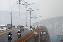 KABUT ASAP : BNPB: 6.000 Hektare Lahan di Riau Terbakar 