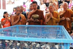 FOTO TAHUN BARU IMLEK :  Fang Sheng Digelar di Wihara Buddha Loka