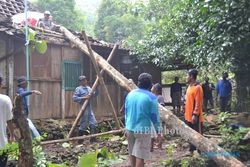 ANGIN KENCANG WONOGIRI : Pohon Jati Roboh Timpa Rumah Warga
