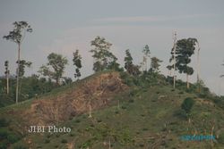 KERUSAKAN LINGKUNGAN : Lahan Kritis di Cilacap Capai 94.000 Hektare